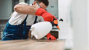 Emergency Pest Control Services in Merrill, WI